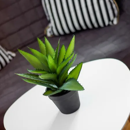 Clicktheflat Chmielna 7 Varšava